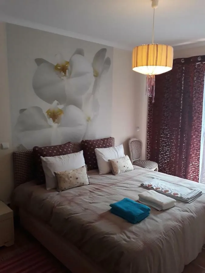Apartamentos Arrifes 1 Porto Santo Portugal